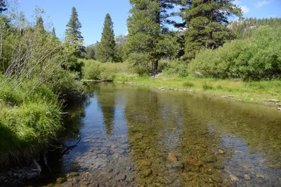 DSC_3571 (Large).JPG